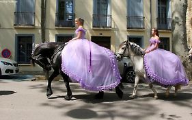Les papillons en méditerranée