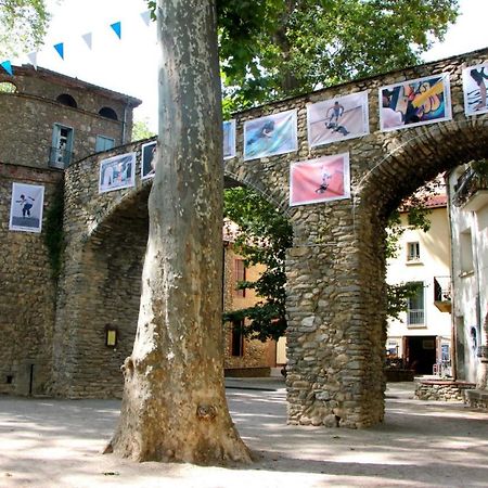 Les papillons en méditerranée Céret Extérieur photo