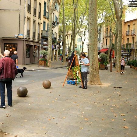 Les papillons en méditerranée Céret Extérieur photo