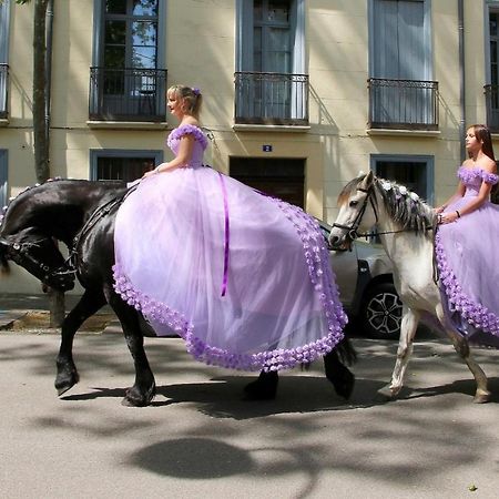 Les papillons en méditerranée Céret Extérieur photo