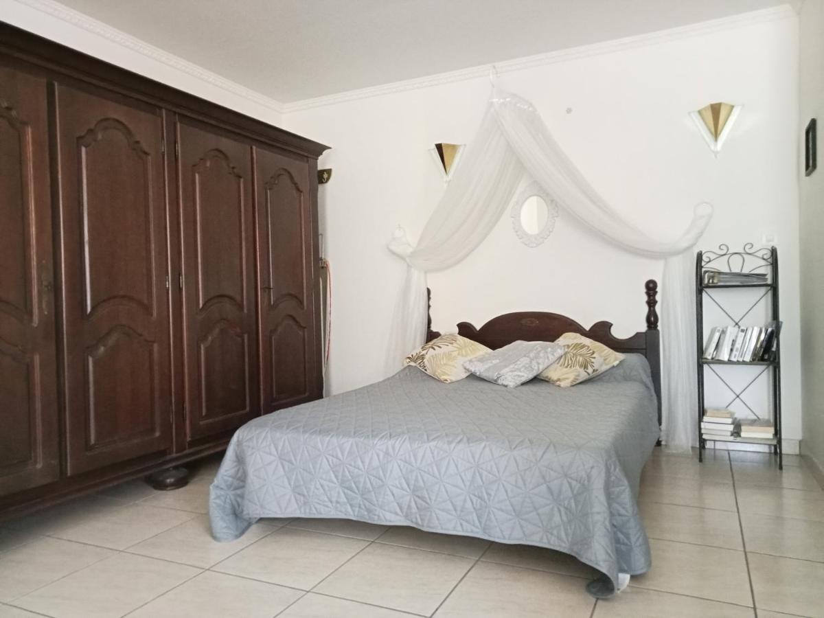 Les papillons en méditerranée Céret Extérieur photo