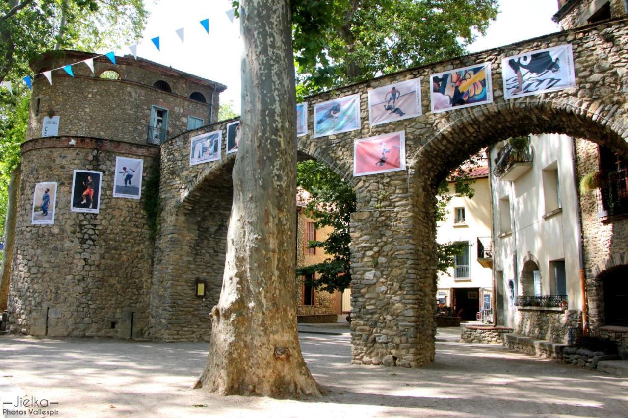 Les papillons en méditerranée Céret Extérieur photo