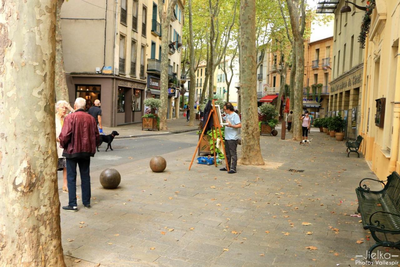 Les papillons en méditerranée Céret Extérieur photo