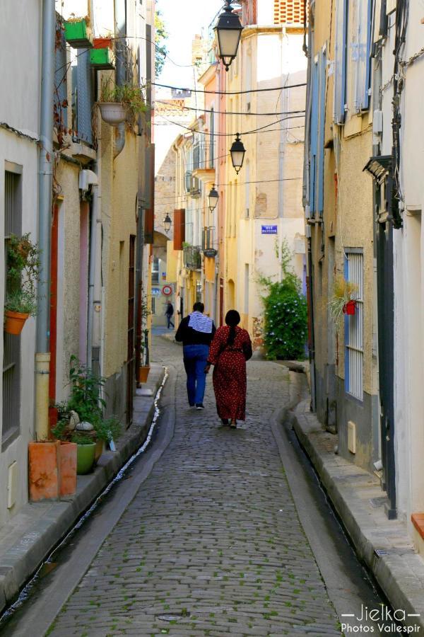 Les papillons en méditerranée Céret Extérieur photo