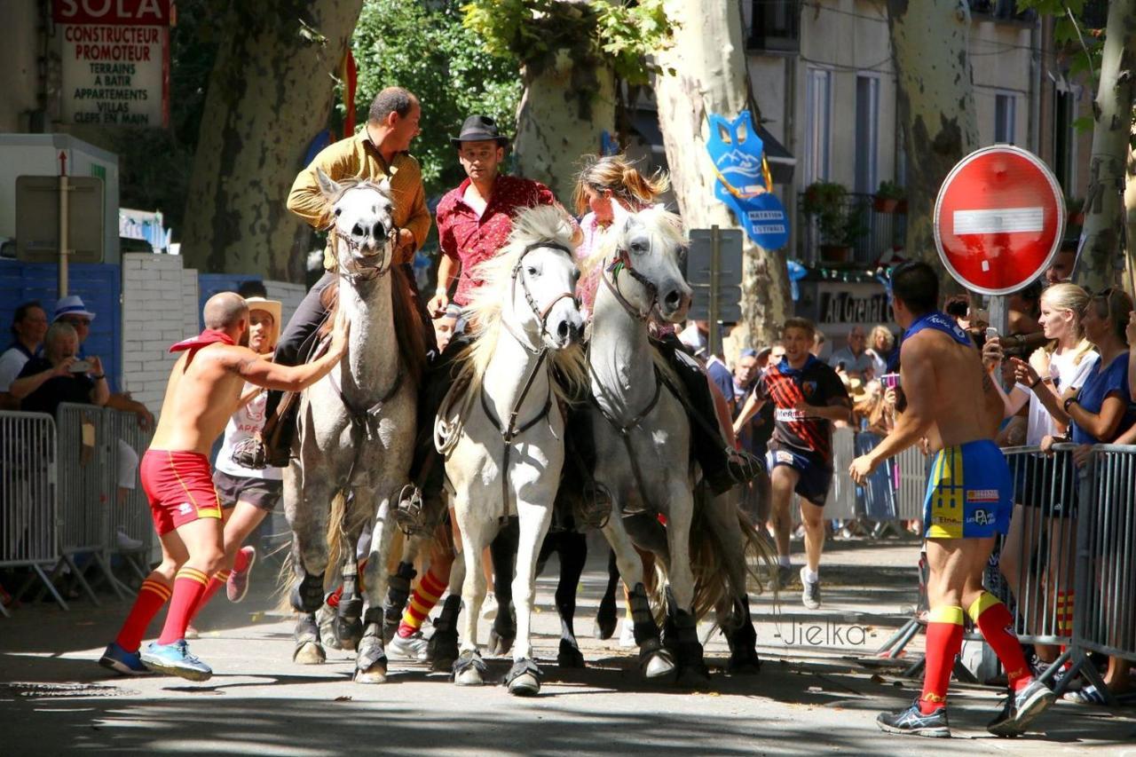 Les papillons en méditerranée Céret Extérieur photo