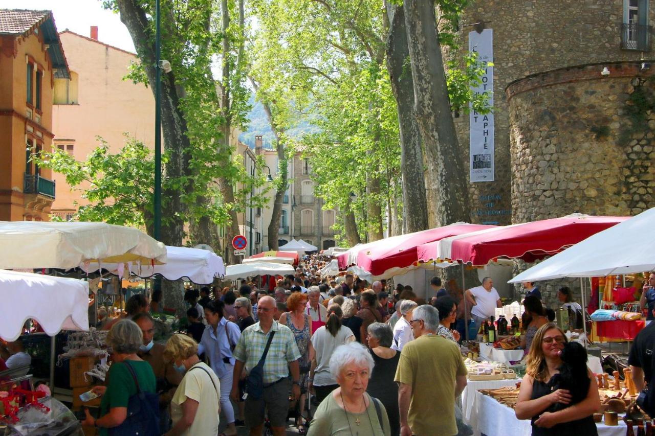 Les papillons en méditerranée Céret Extérieur photo