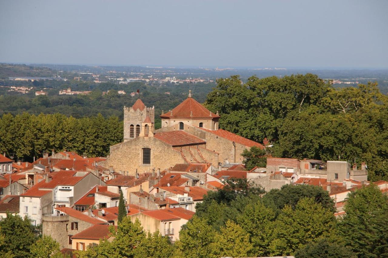 Les papillons en méditerranée Céret Extérieur photo