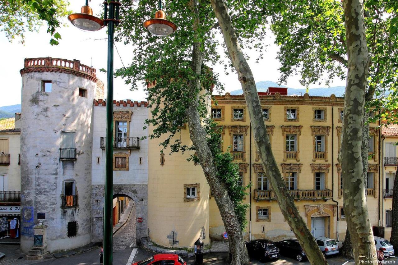 Les papillons en méditerranée Céret Extérieur photo