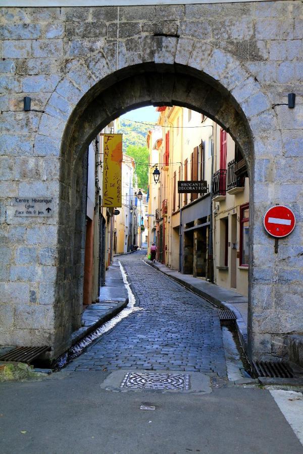 Les papillons en méditerranée Céret Extérieur photo