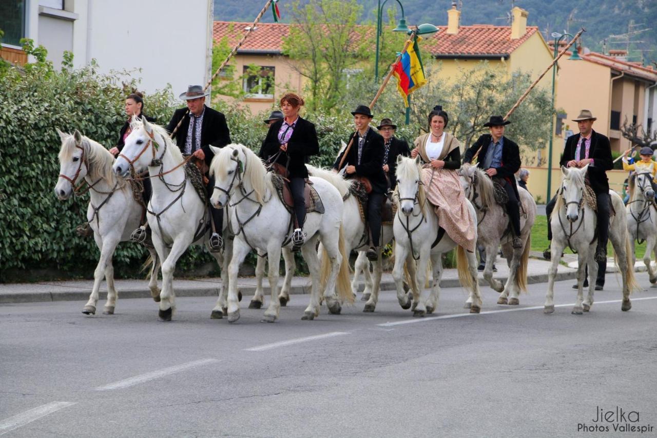 Les papillons en méditerranée Céret Extérieur photo