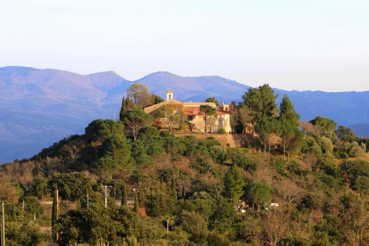 Les papillons en méditerranée Céret Extérieur photo